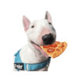 Meet your Posher, Sakino